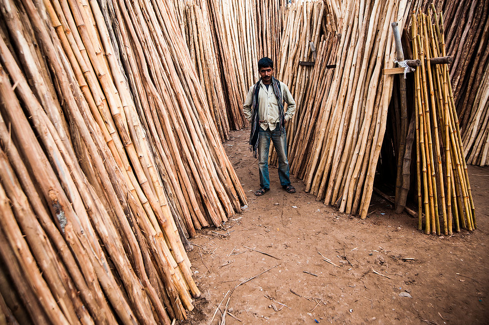 Sprzedawca bambusów w Nagaur (Rajastan) (Indie)